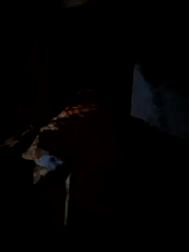 Snapshot of Real_Sucker chatting on 15, 3, 2026 Real Sucker online show from 15, 3, 2026