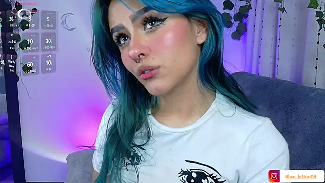 blue kitten online show from 26, 5, 2026