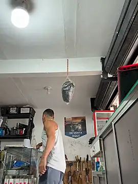 Terra-22cm online show from 6, 10, 2025