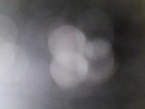 Asian PrettyAle online show from 21, 2, 2026