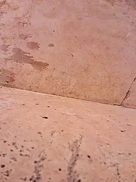 Negodabenga online show from 17, 11, 2025