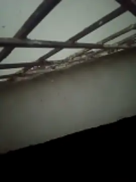 Snapshot of Daisygirl9 chatting on 22, 10, 2025 Daisygirl9 online show from 22, 10, 2025