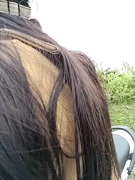 asian 2k online show from 23, 11, 2025