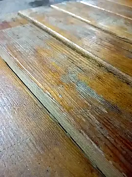 Snapshot of mert0359 chatting on 16, 2, 2026 mert0359 online show from 16, 2, 2026