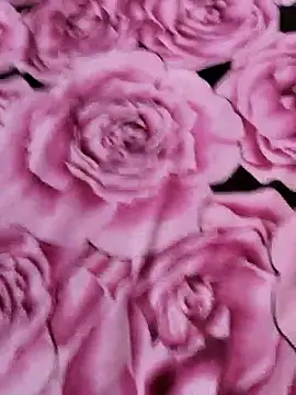 sana-5 online show from 14, 4, 2026