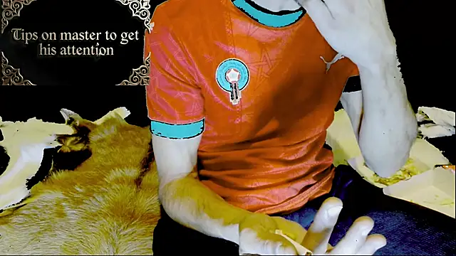 JUSTFORRICH online show from 15, 1, 2026