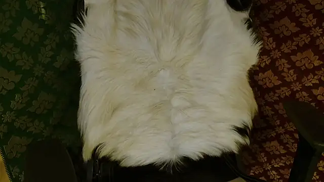 JUSTFORRICH online show from 20, 4, 2026