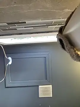 chocolate bella online show from 28, 3, 2026