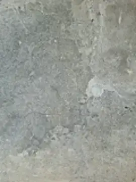 ngocngoc cute online show from 24, 2, 2026