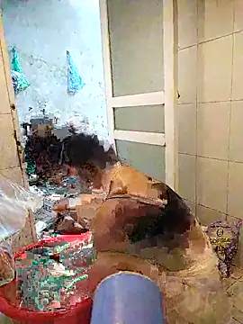 naop04 online show from 21, 10, 2025