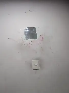 Megara 25 online show from 4, 11, 2025