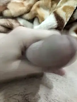 Zepe 12 online show from 24, 3, 2026