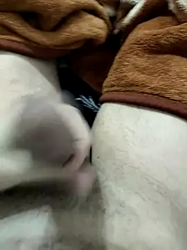 Zepe 12 online show from 26, 3, 2026