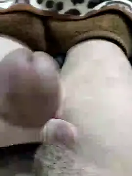 Zepe 12 online show from 2, 4, 2026