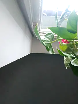 Czarnoksieznik online show from 2, 11, 2025