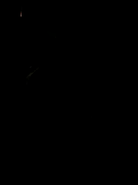 koukou322 online show from 2, 11, 2025