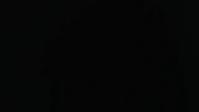 Snapshot of sensualduo chatting on 21, 2, 2025 sensualduo online show from 21, 2, 2025