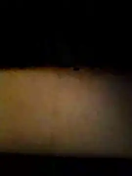 Celestial Field online show from 14, 1, 2026