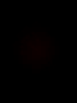 armandoluisorrrkw3323 online show from 11, 4, 2026