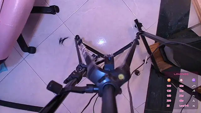 Terraelowen online show from 1, 11, 2025