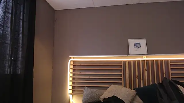 Snapshot of PaulEvens chatting on 12, 2, 2026 PaulEvens online show from 12, 2, 2026