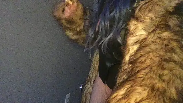 Snapshot of Stevey5894 chatting on 30, 11, 2025 Stevey5894 online show from 30, 11, 2025