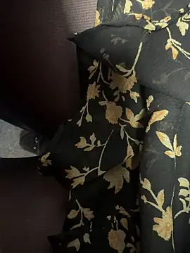 Snapshot of HiddenHoneyLDN chatting on 9, 2, 2026 HiddenHoneyLDN online show from 9, 2, 2026