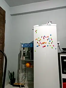 indiazinhabella27 online show from 11, 11, 2025