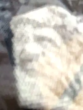 Zoe73  online show from 25, 2, 2026