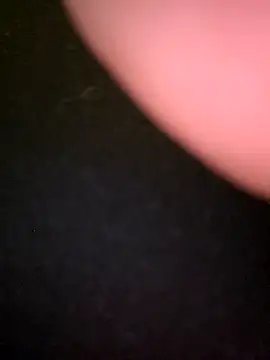 kaylie mitchel online show from 24, 2, 2026