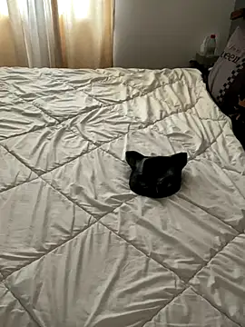 Snapshot of LesAmantsAE2 chatting on 11, 10, 2025 LesAmantsAE2 online show from 11, 10, 2025