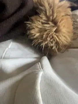 LesAmantsAE2 online show from 15, 2, 2026