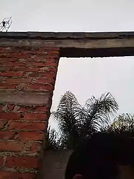 TragicAirplane168 online show from 14, 12, 2025