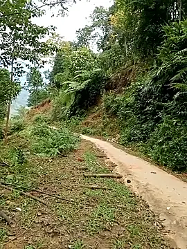 Dung-Thao19 online show from 24, 11, 2025