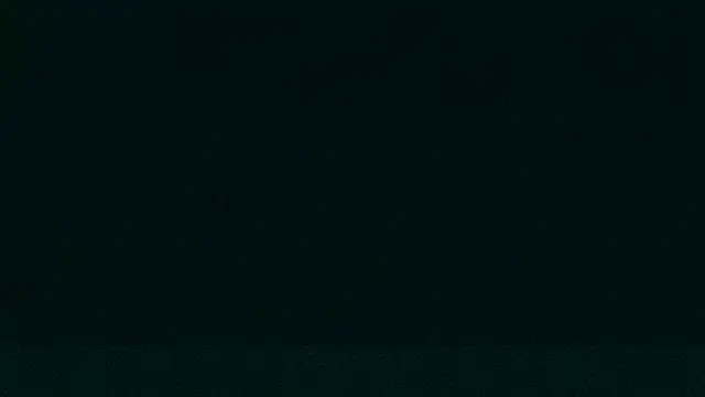 LeeCox online show from 21, 12, 2024