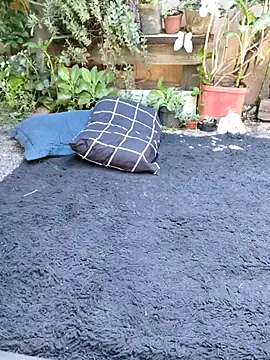 bad wolf28 online show from 11, 11, 2025