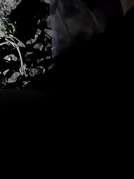 Snapshot of PixelPlayboy chatting on 7, 11, 2025 PixelPlayboy online show from 7, 11, 2025