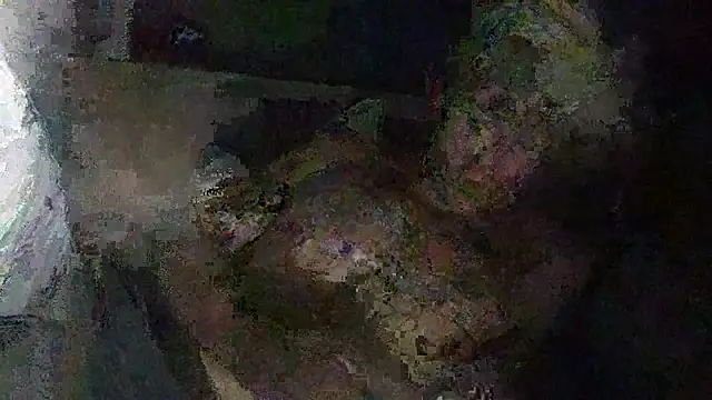 Snapshot of IsAparty chatting on 11, 10, 2025 IsAparty online show from 11, 10, 2025