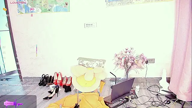 Solsken  online show from 6, 10, 2025