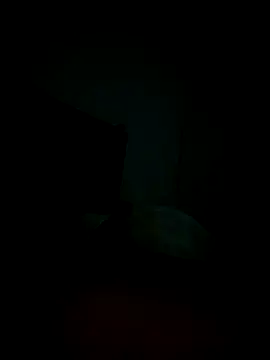 dulce salado online show from 3, 11, 2025