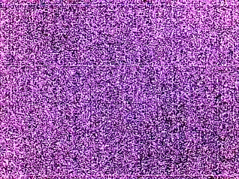 elturcudito online show from 29, 6, 2026