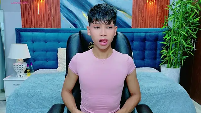 dilan 911 online show from 15, 5, 2026