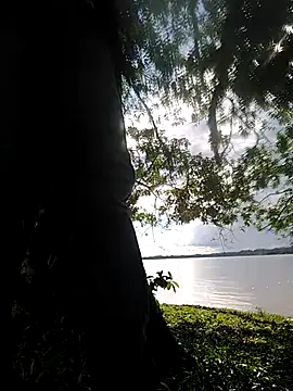 Snapshot of delesteli chatting on 1, 11, 2025 delesteli online show from 1, 11, 2025