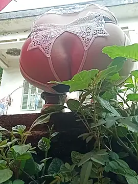 July-Asian online show from 24, 5, 2026