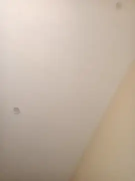 ElBufalo4l online show from 4, 11, 2025