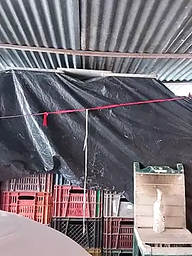 hoteder online show from 23, 2, 2026