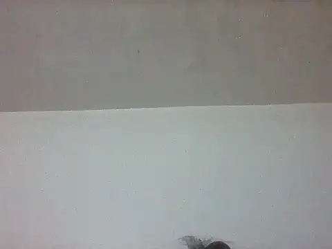 pretty349 online show from 20, 4, 2026