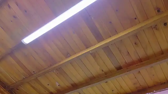 Lizbeth Rouse online show from 13, 1, 2026