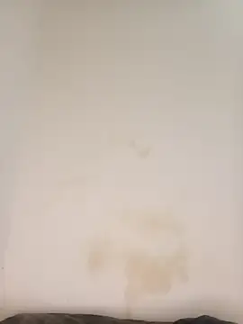 Snapshot of AngelaZamera chatting on 6, 2, 2026 AngelaZamera online show from 6, 2, 2026