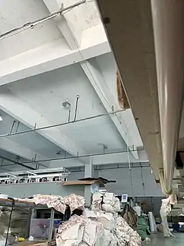 coco-o online show from 22, 9, 2025